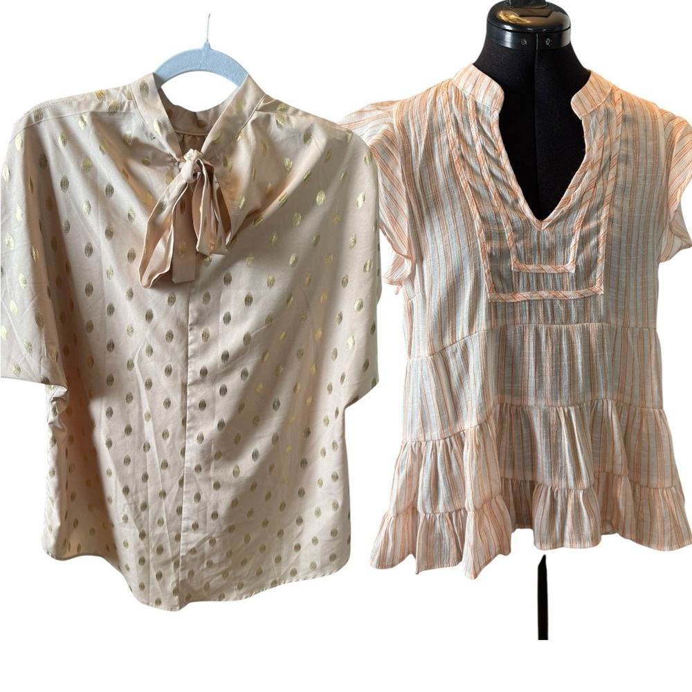 Bundle of 2 Size Large Tops – Shein (NWOT) & Blu Pepper (EUC)
